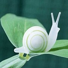 蜗牛-志慧-人生历程