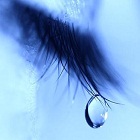 还泪-志慧-人生历程