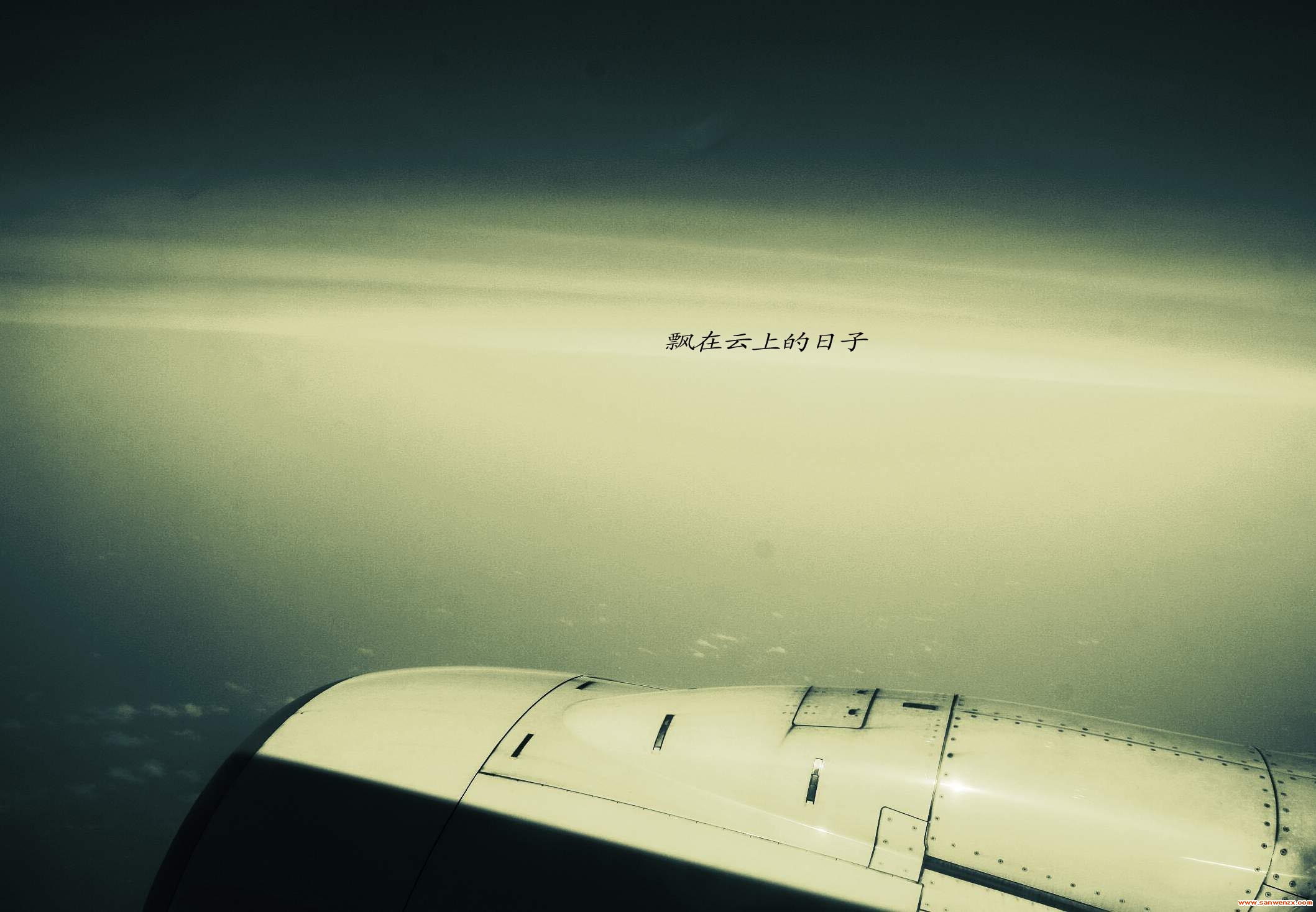 一粒沙-志慧-人生历程