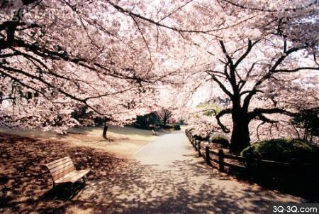 站点福利,感谢!!!-志慧-人生历程