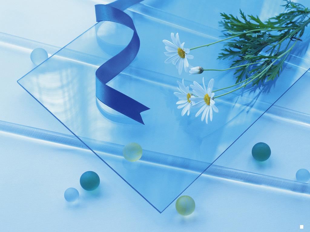 对·错-志慧-人生历程