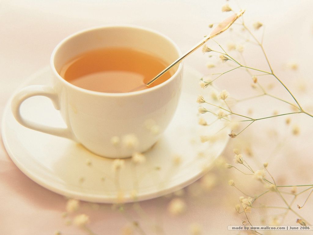 记忆犹新的小文章-志慧-人生历程