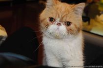 迷茫的生活------家-志慧-人生历程