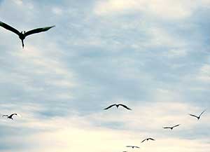 再见，青春！-志慧-人生历程