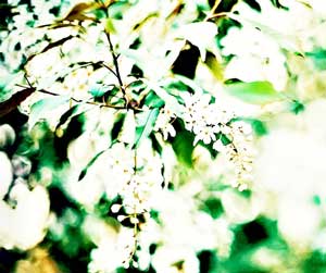 无助，痛心啊！！！-志慧-人生历程