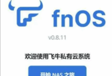 飞牛影视改ui、logo等变成自己的影视网站-志慧-人生历程
